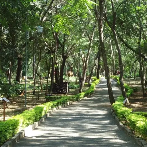 Capital verde iberoamericana ,