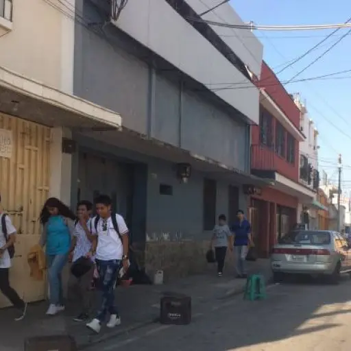 cuidadores de carros ,