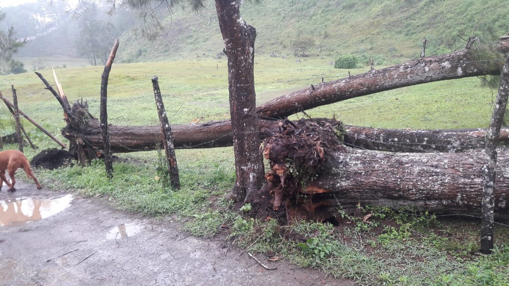 Fuertes vientos en Guatemala | 