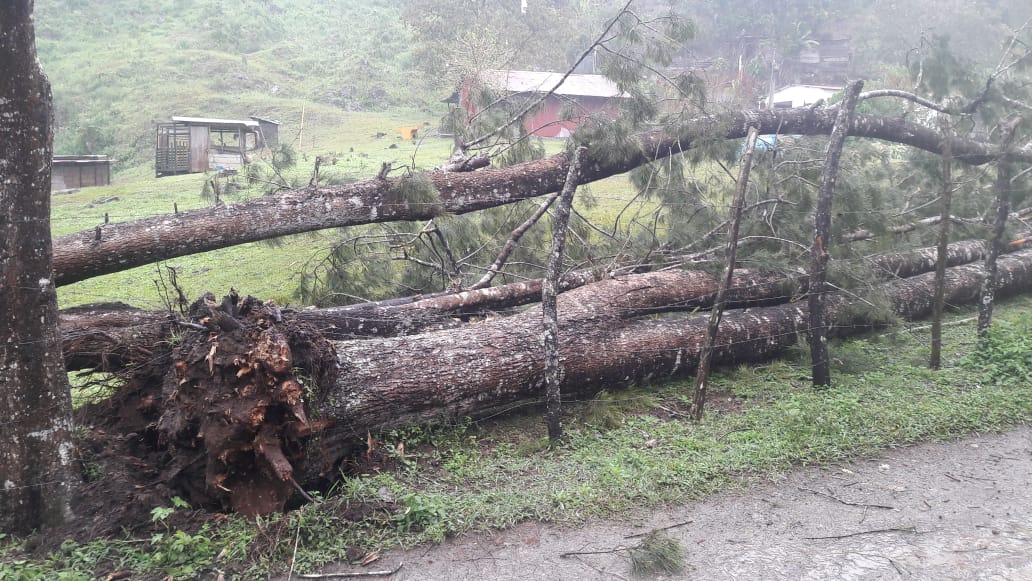 Fuertes vientos en Guatemala | 