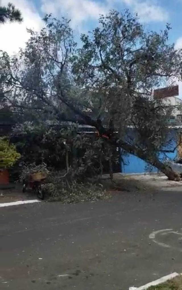 Fuertes vientos en Guatemala | 