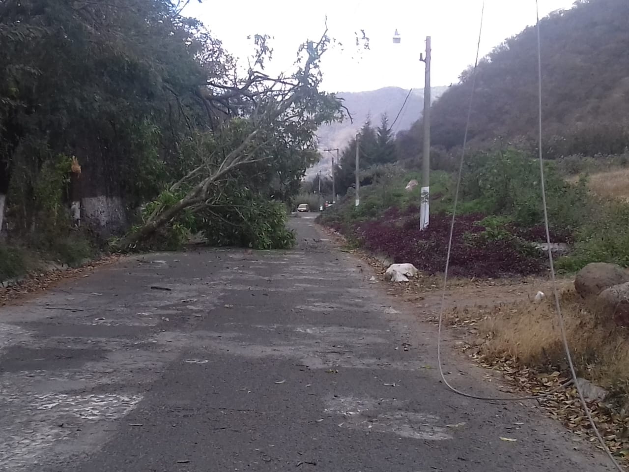 Fuertes vientos en Guatemala | 