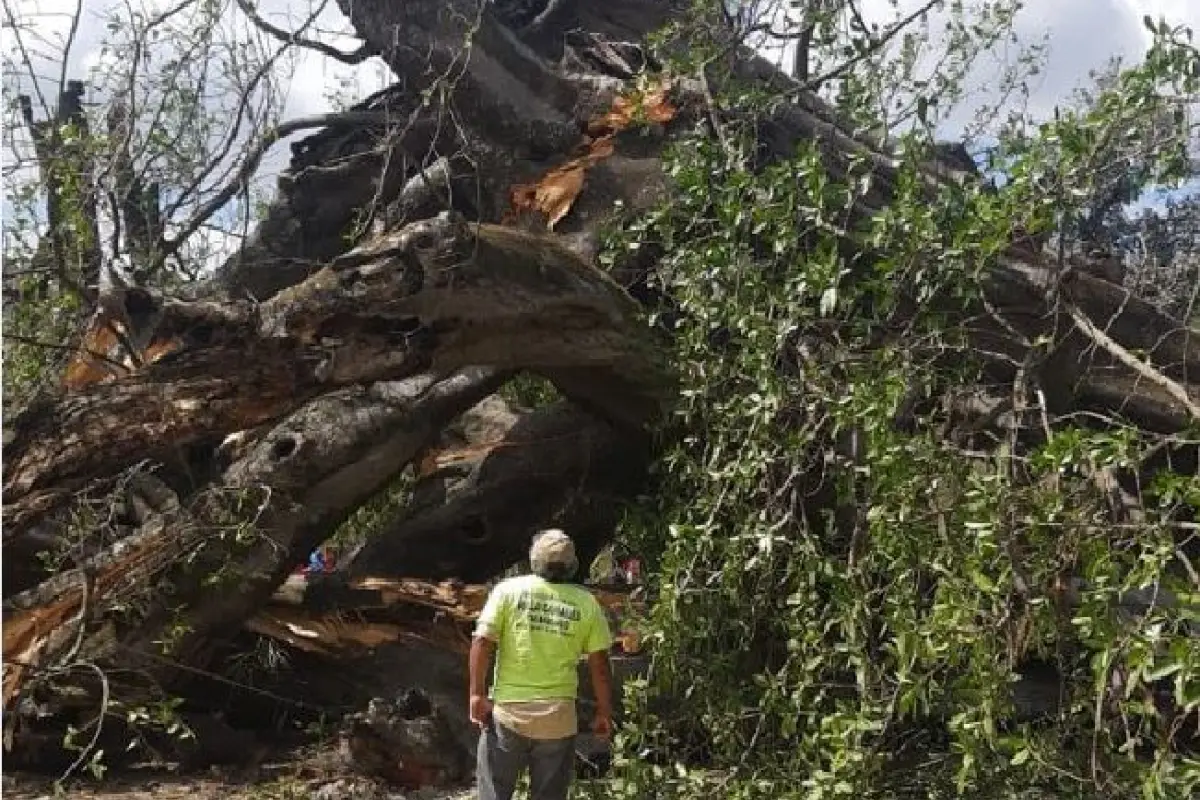 Foto: Emisoras Unidas 