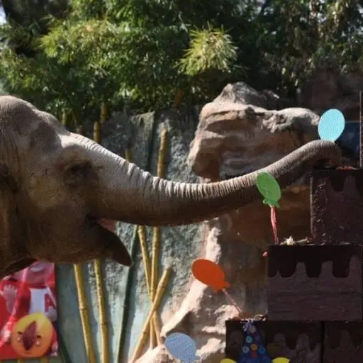 4214cc37-af24-4117-9bec-c93c9a297822 ,