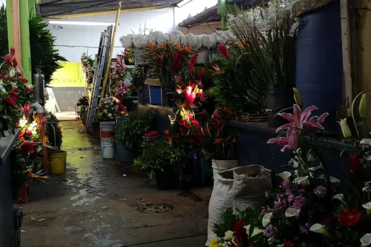 Mercado de Flores 1, 