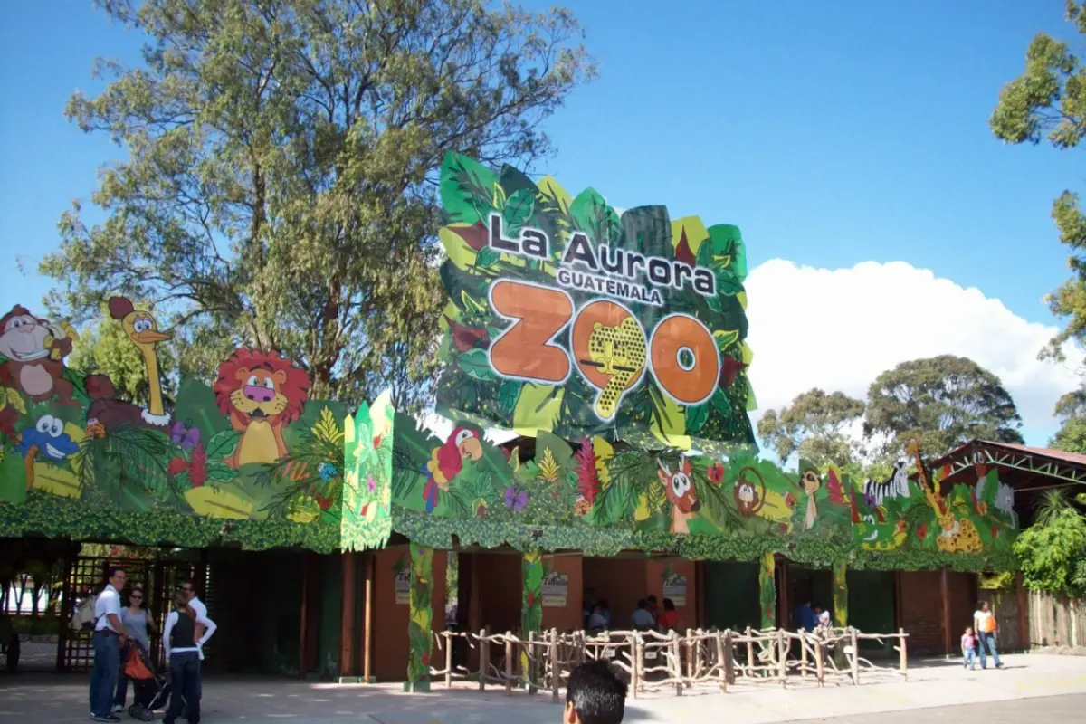 zoologico dos, 