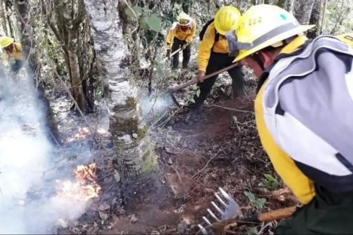 Conred incendios forestales activos, 