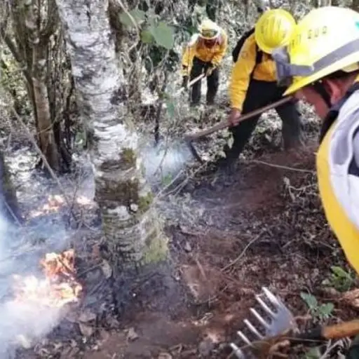 Conred incendios forestales activos ,