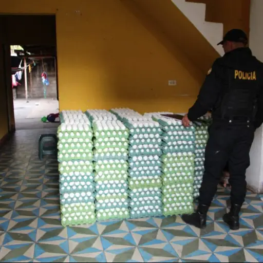 52115481_2210129792342126_5608753862920896512_o ,