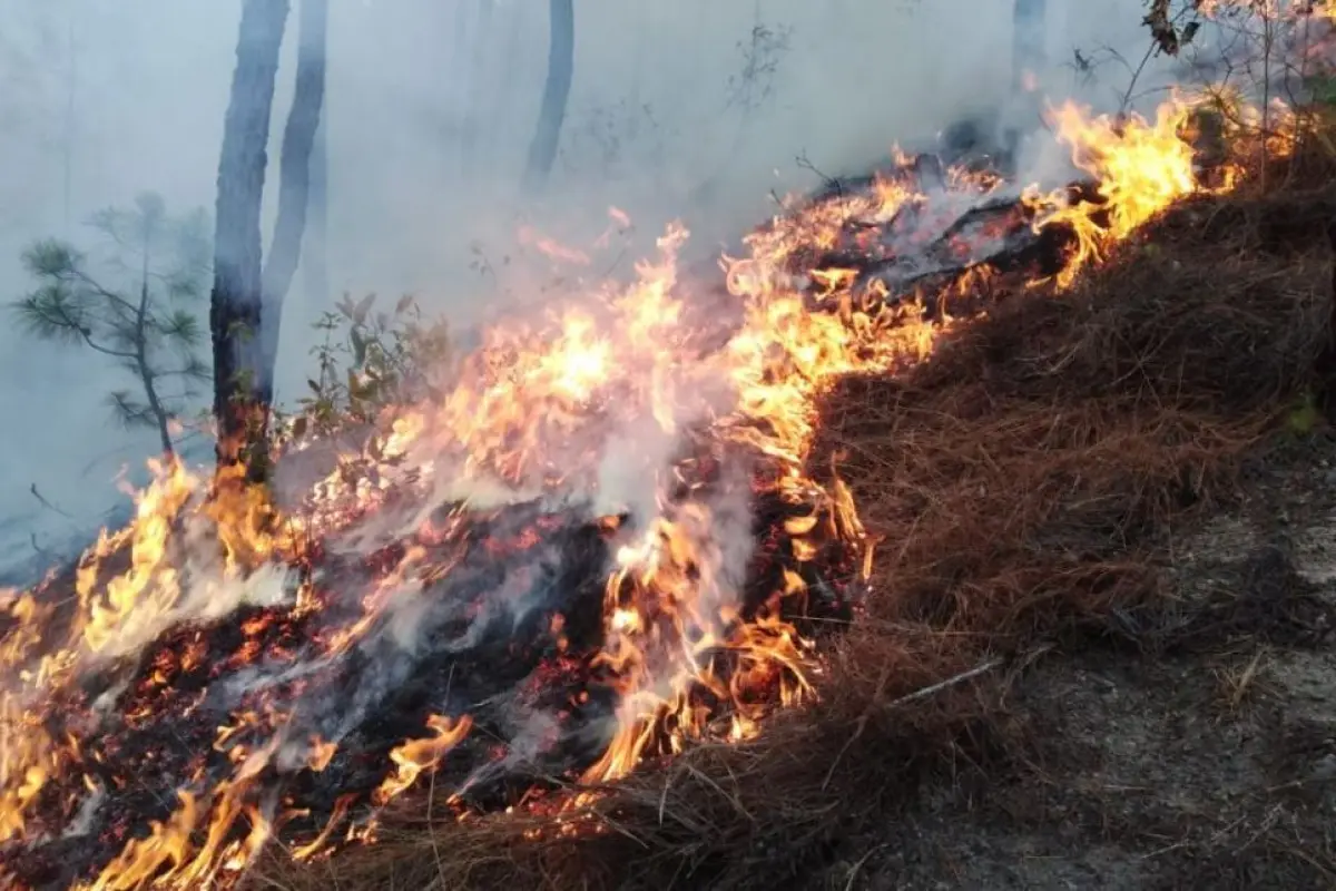 Quetzaltenango Huehuetenango incendios, 