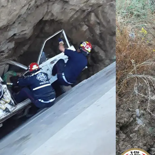 Palestina de Los Altos ,