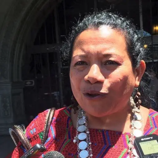 Estela Ventura fue ligada a proceso por usurpación de calidad y uso de documentos falsificados