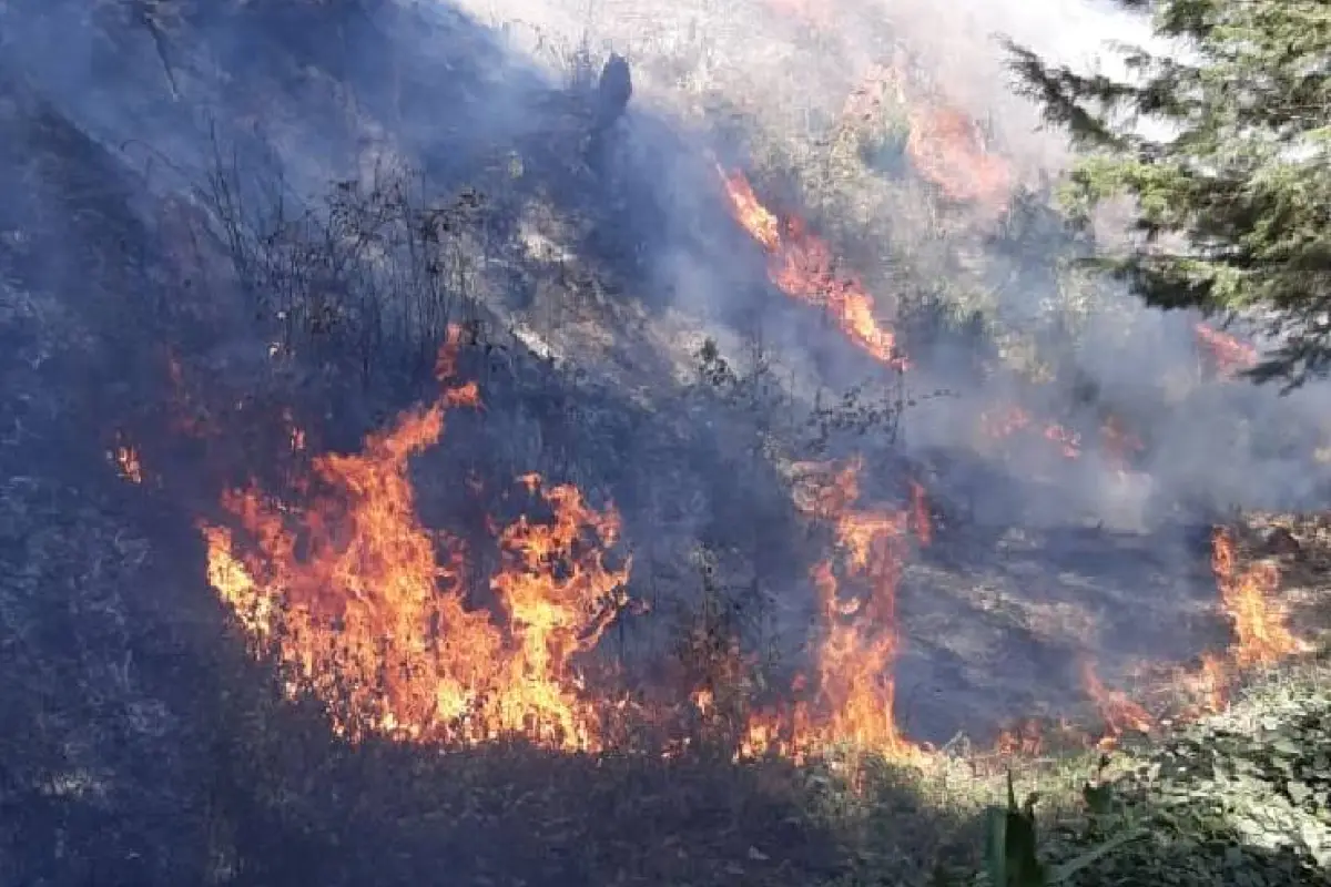 Incendio forestales a nivel nacional, según Conred