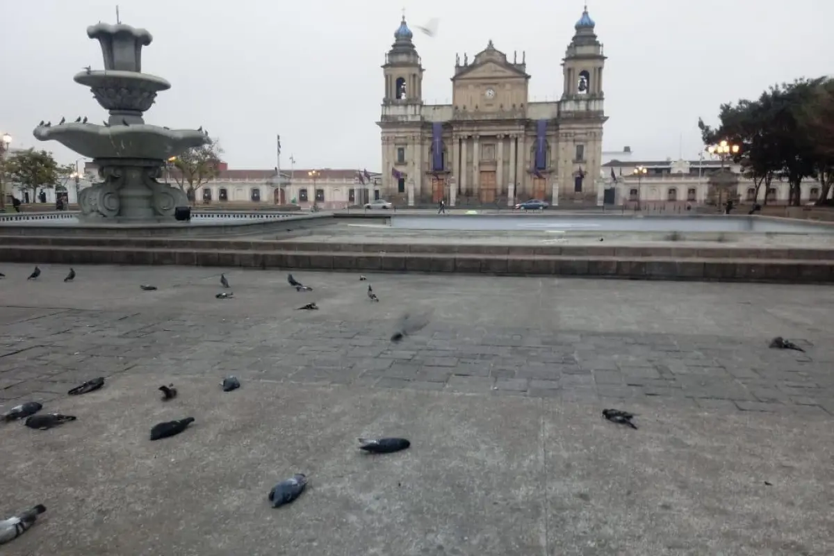 palomas muertas Emisoras Unidas, 