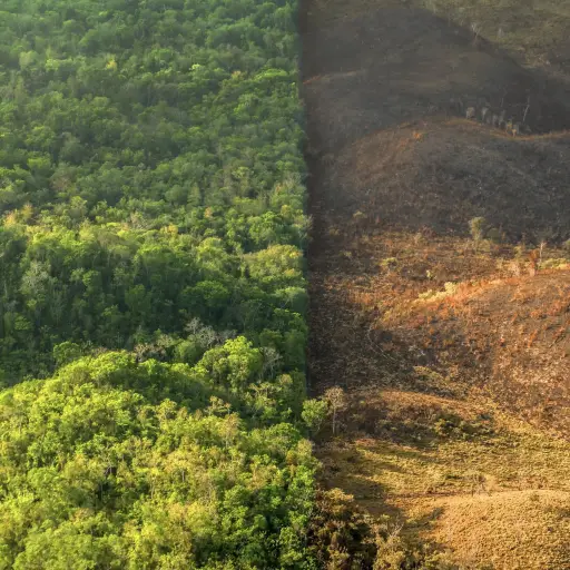 Cortesía Rainforest Alliance / Sergio Izquierdo