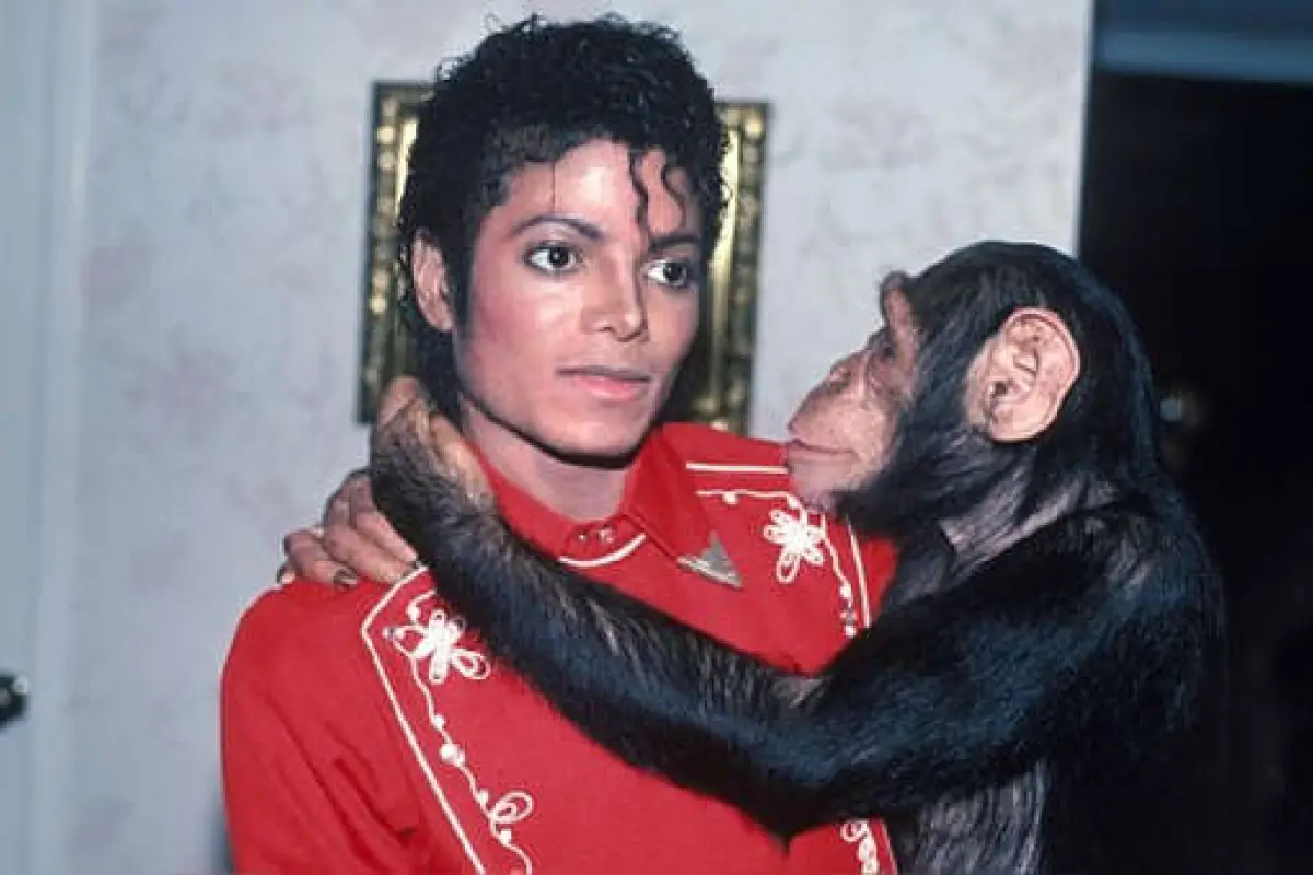 Chimpance Michael Jackson, 