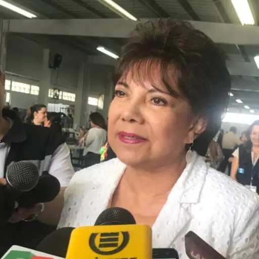 Magistrada Rosa María Bolaños indicó que un grupo de asesores hizo el reglamento.