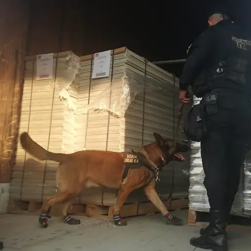 cocaína ,