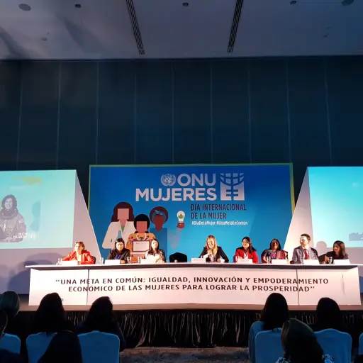 Actividad de ONU Mujeres ,