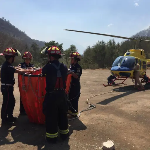 WhatsApp Image 2019-03-26 at 08.55.05 (1) ,