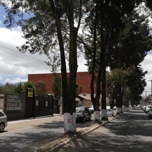 Árboles serán derribados en Quetzaltenango