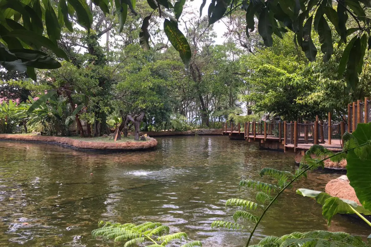 El Irtra inaugura nueva atracción con el parque Xejuyup. Foto: Publinews