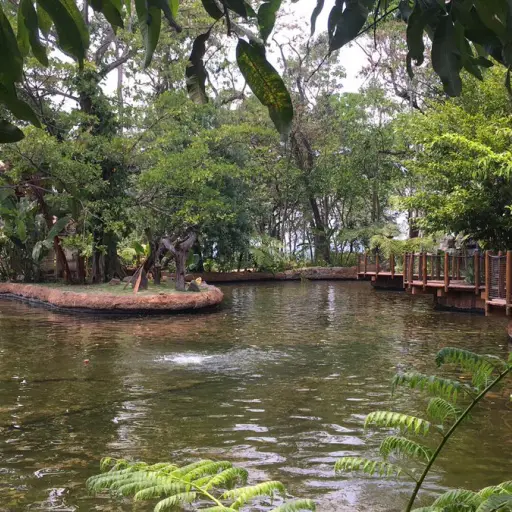 El Irtra inaugura nueva atracción con el parque Xejuyup. Foto: Publinews