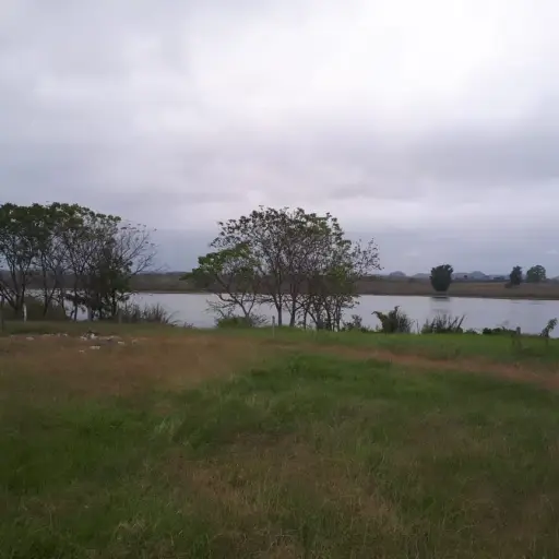 Fincas vinculadas a Alejandro Sinibaldi pasaron a la Senabed para su administración