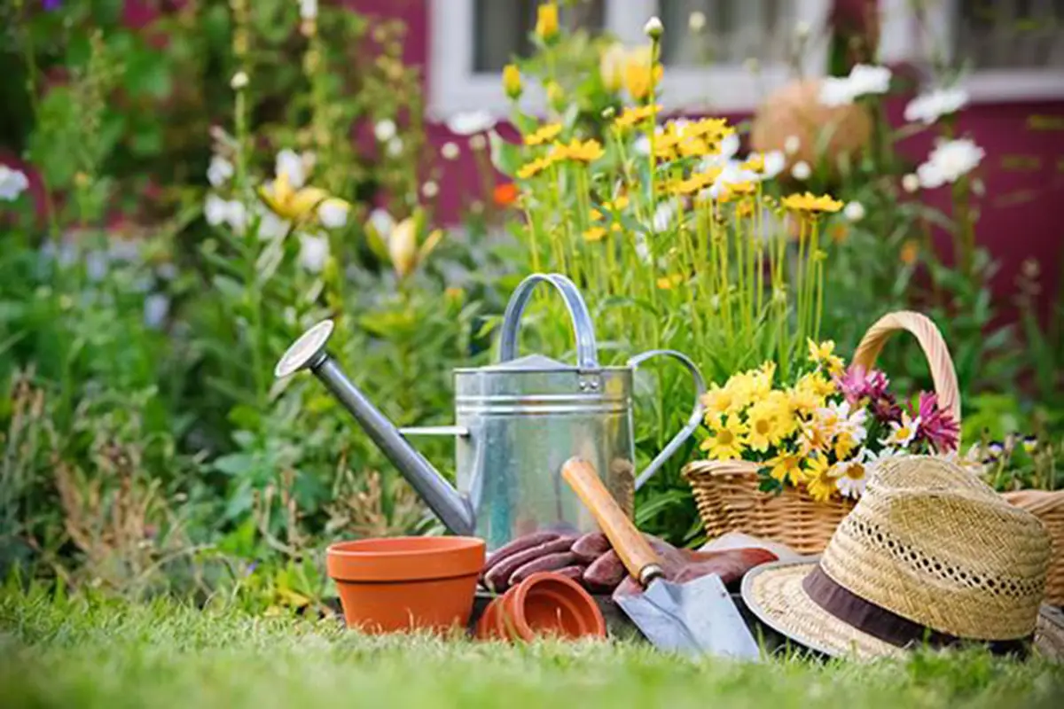 Consejos prácticos para cuidar las plantas en verano.
Foto con fines ilustrativos 