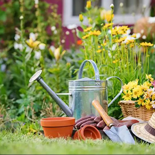 Consejos prácticos para cuidar las plantas en verano.Foto con fines ilustrativos 