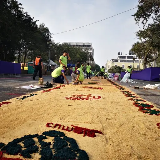 Alfombra en el Paseo de la Sexta ,