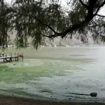 lago-amatitlán-guatemala-emisoras-unidas (2) ,