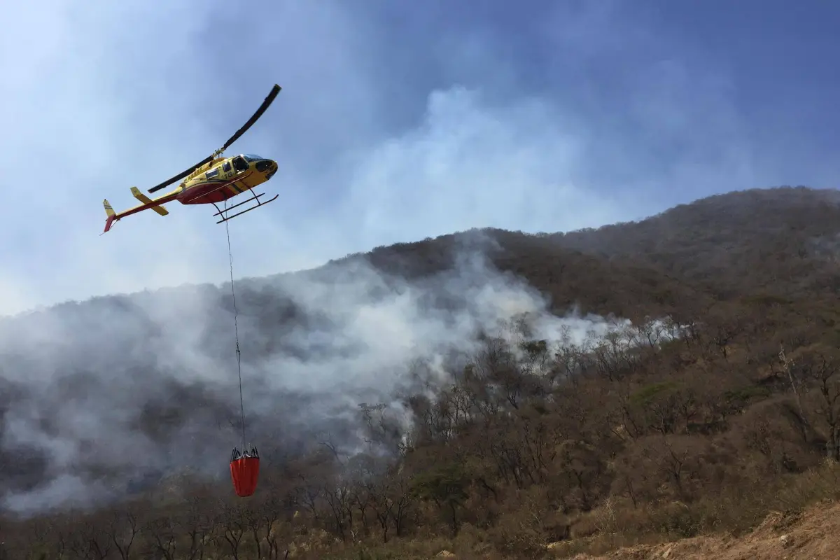 Incendios forestales consumen hectáreas de bosque