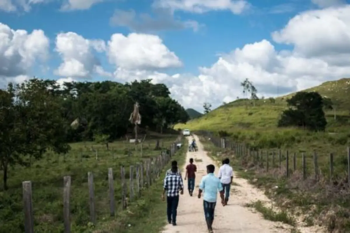 Zona de adyacencia con Belice. Foto: Archivo.