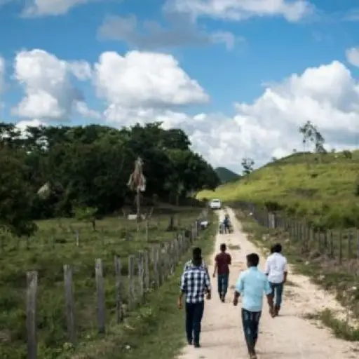 Zona de adyacencia con Belice. Foto: Archivo.