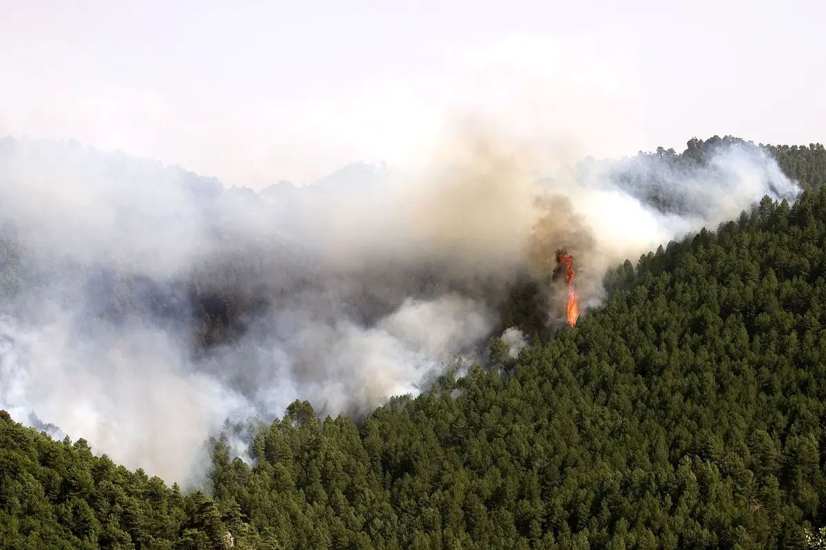 Incendios forestal