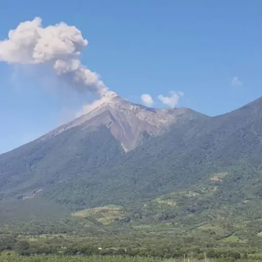 volcan de fuegoO1 ,