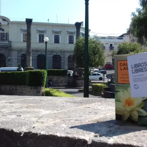 Libros liberados en Quetzaltenango