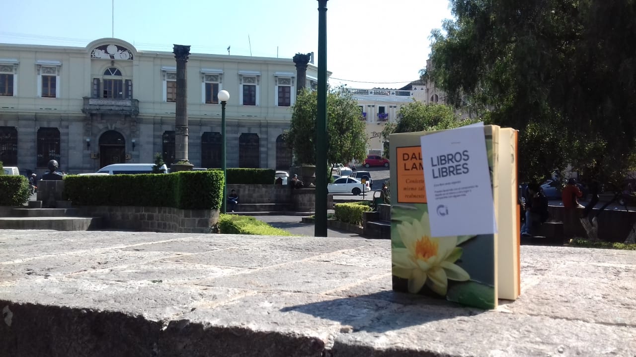 Libros liberados en Quetzaltenango | 