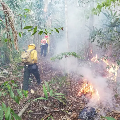 Incendio forestal en Petén