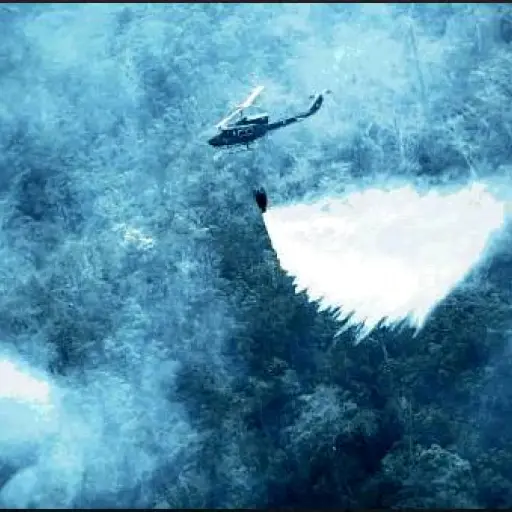 Incendios forestales en el norte del país.