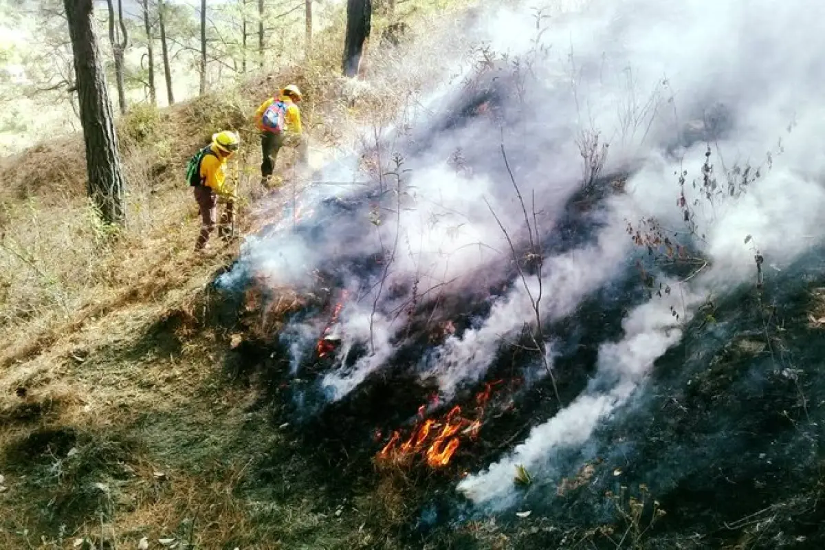 Incendios forestales - Conred, 