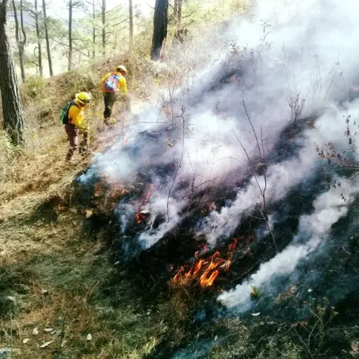 Incendios forestales - Conred ,