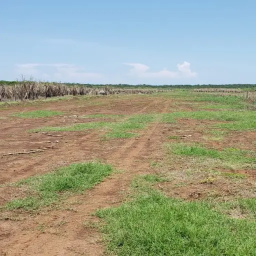 El hallazgo se produjo en una finca de Champerico. Fotos PNC.
