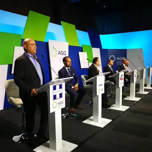 Candidatos a Alcalde de la Capital.