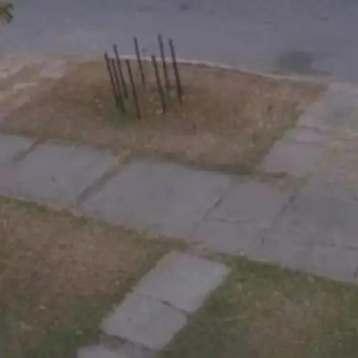 1516805184_archive_1_RosaOtilia ,