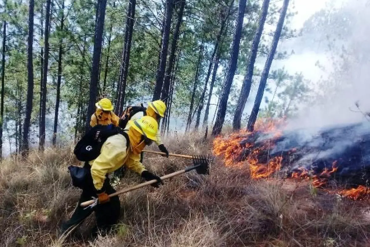 incendio forestal, 