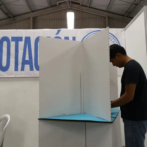 ELECCIONES-2019-VOTO-VOTACIONES-LESTER-RAMIREZ (8) ELECCIÓN-PRESIDENTE-VICEPRESIDENTE-PAPELETA ,