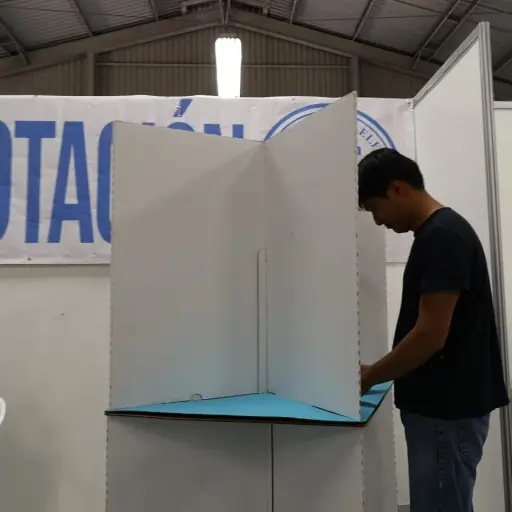 ELECCIONES-2019-VOTO-VOTACIONES-LESTER-RAMIREZ (2) ELECCIÓN-PRESIDENTE-VICEPRESIDENTE-PAPELETA ,