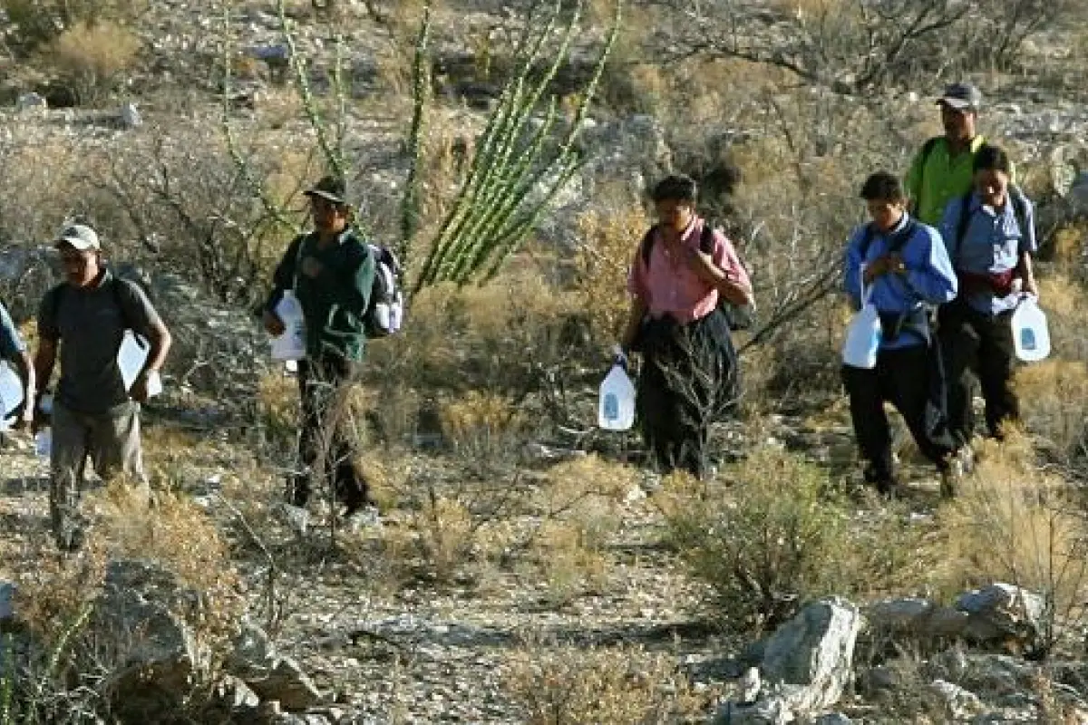 migrantes, 